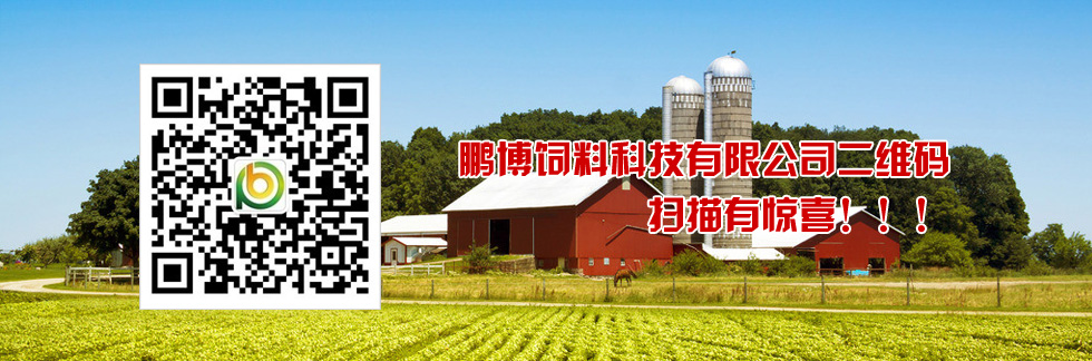 鵬博二維碼，掃描有驚喜！